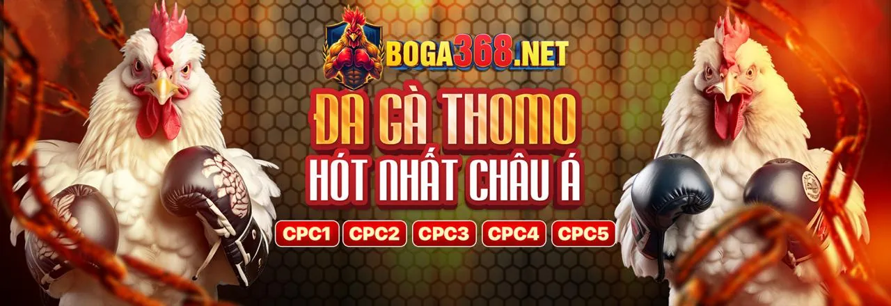 Đá Gà Trực Tuyến sumvip5 login